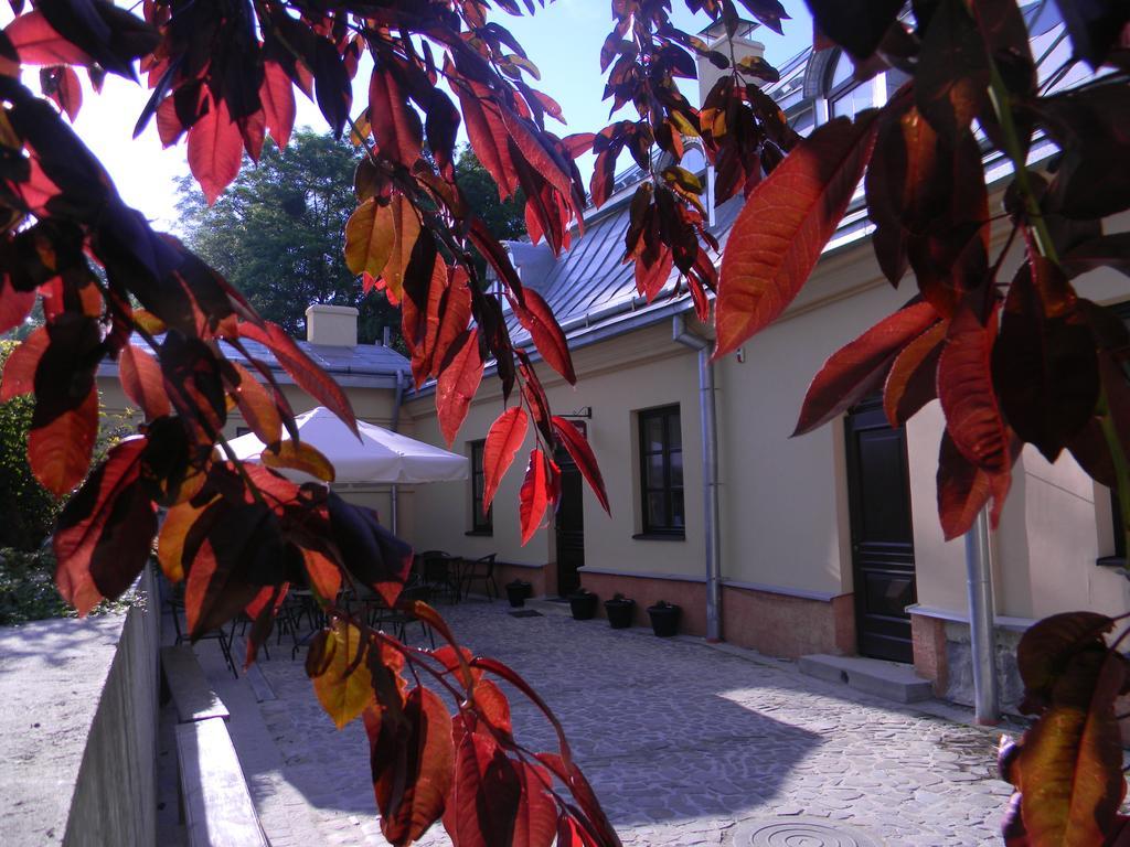 Guest House "Arkhistratyg" Λβιβ Εξωτερικό φωτογραφία